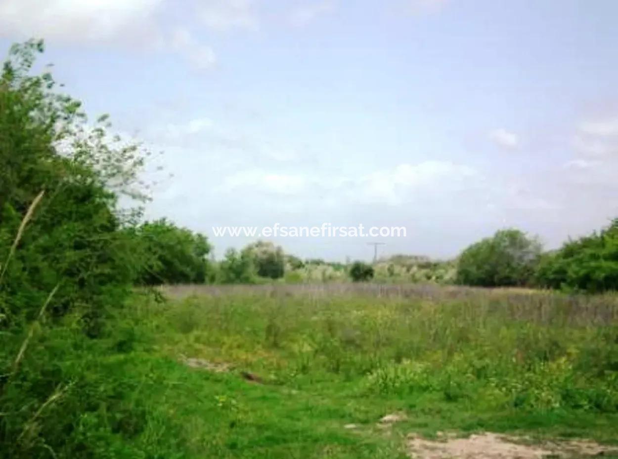 Oriya Fevziye For Sale Bargain Land, Suitable For Investment, 1500 M2