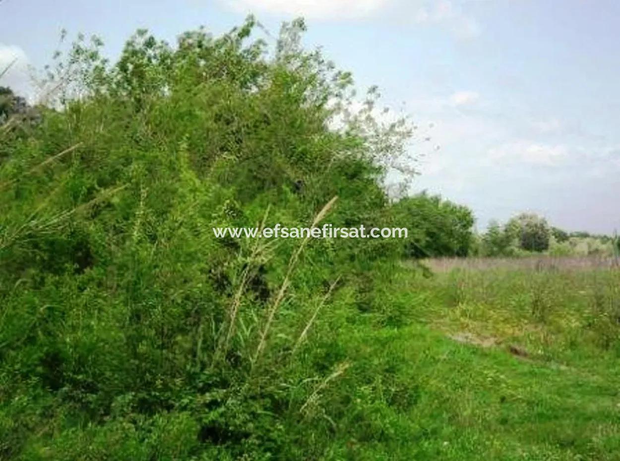 Oriya Fevziye For Sale Bargain Land, Suitable For Investment, 1500 M2