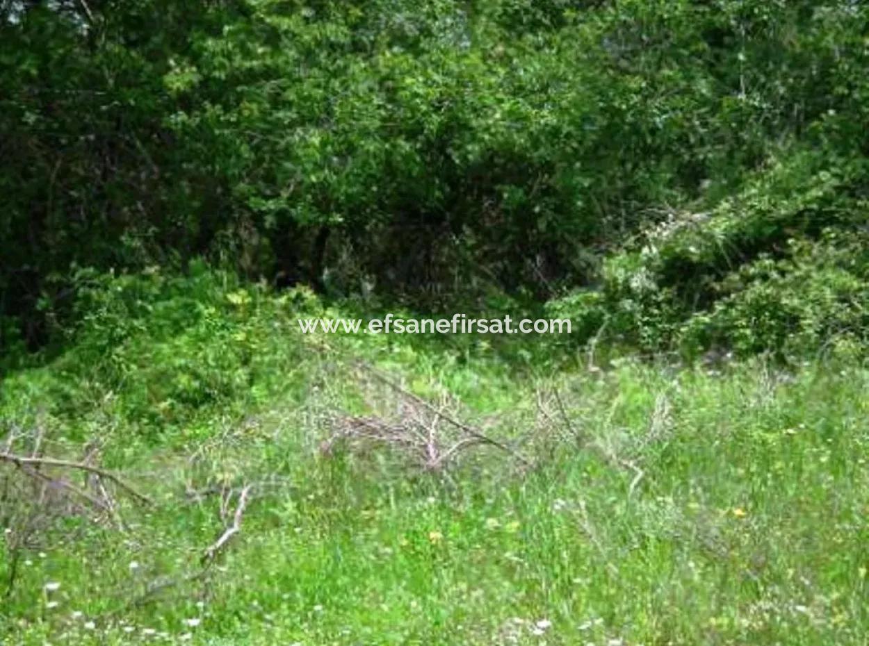 Oriya Fevziye For Sale Bargain Land, Suitable For Investment, 1500 M2