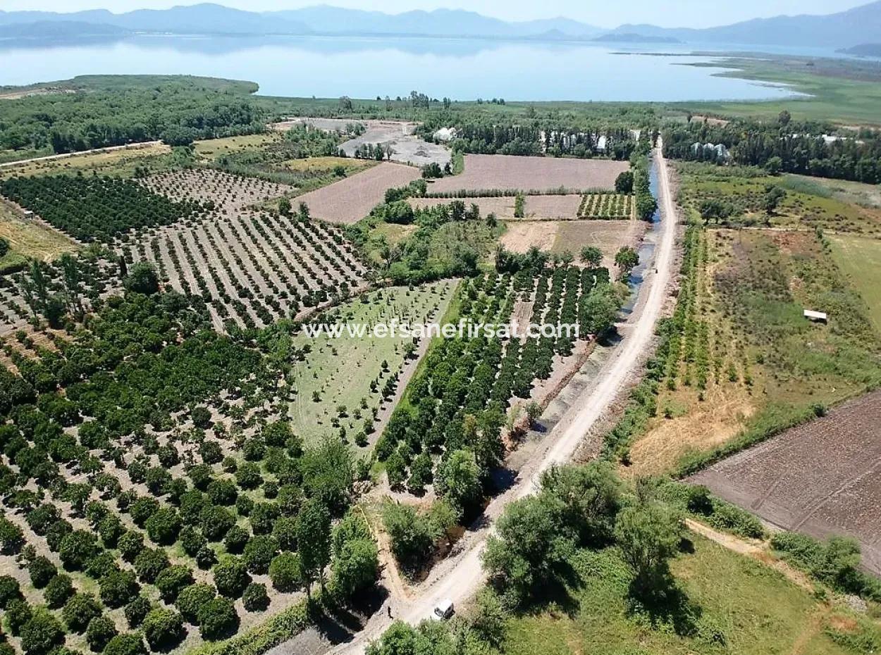 2 650 M2 Detached Title Deed Garden Close To The Lake In Köyceğiz For Sale