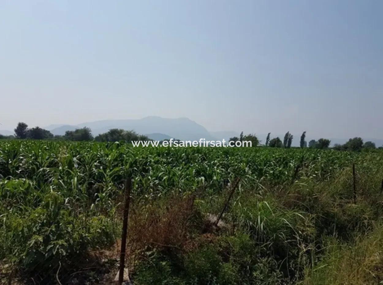 Detached 15000 M2 Fertile Land For Sale In Mugla Ortaca Archers