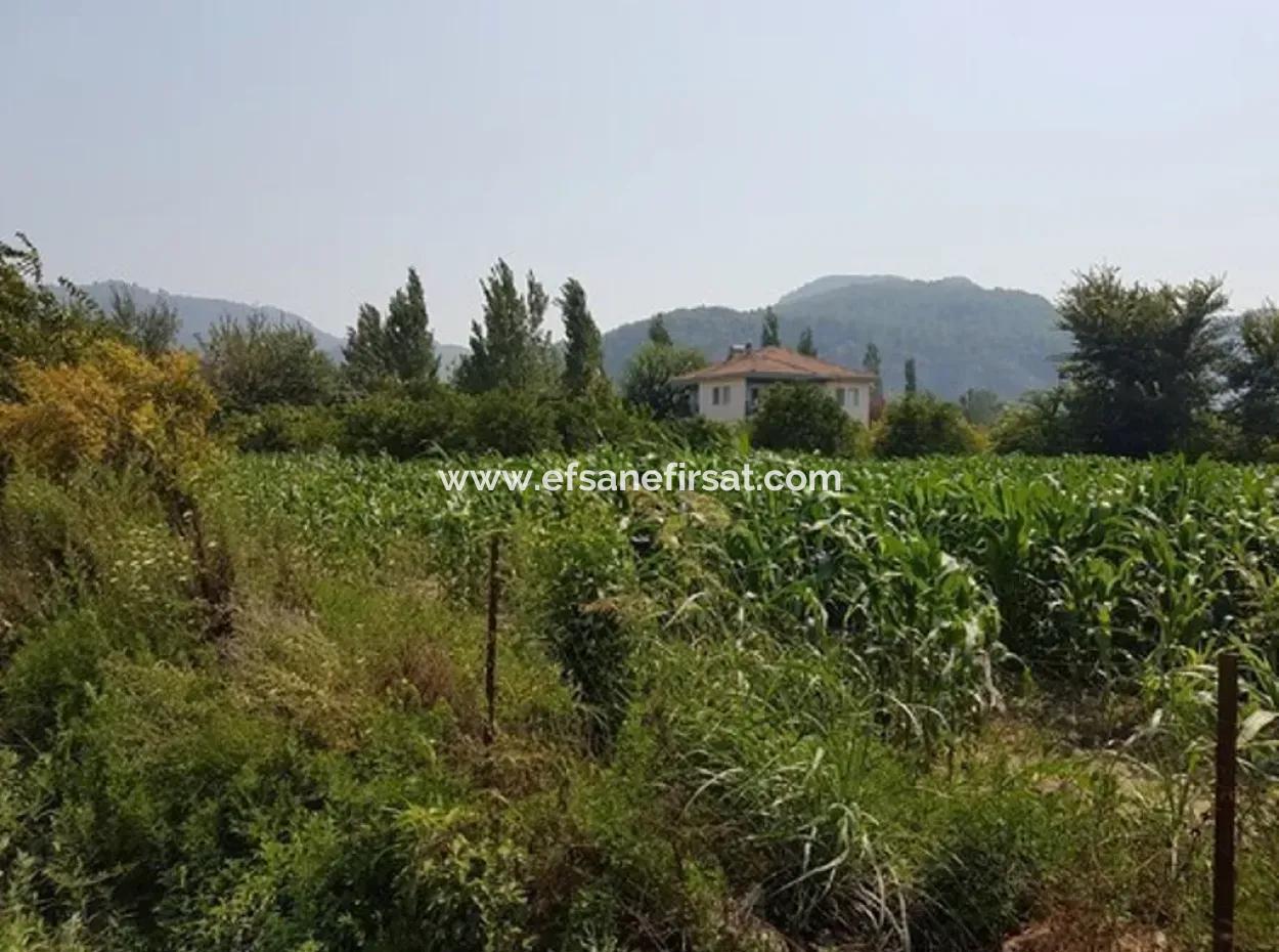 Detached 15000 M2 Fertile Land For Sale In Mugla Ortaca Archers