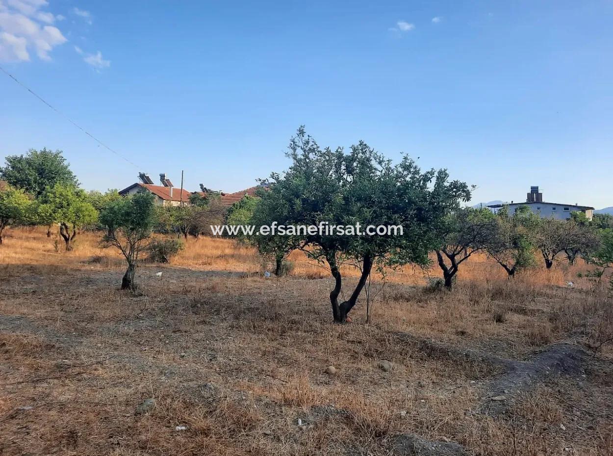 1080 M2 Zoning Land For Sale In Köyceğiz Toparlar