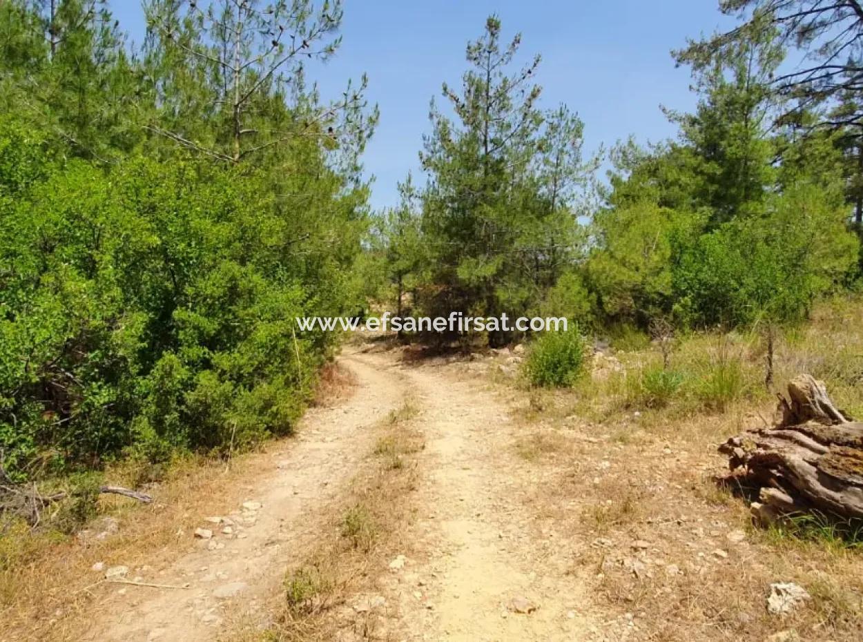 3031 M2 Detached Field For Sale In Mugla Menteşe Denizova