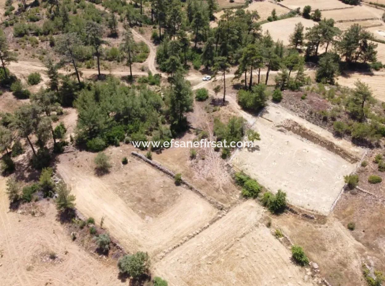 3031 M2 Detached Field For Sale In Mugla Menteşe Denizova