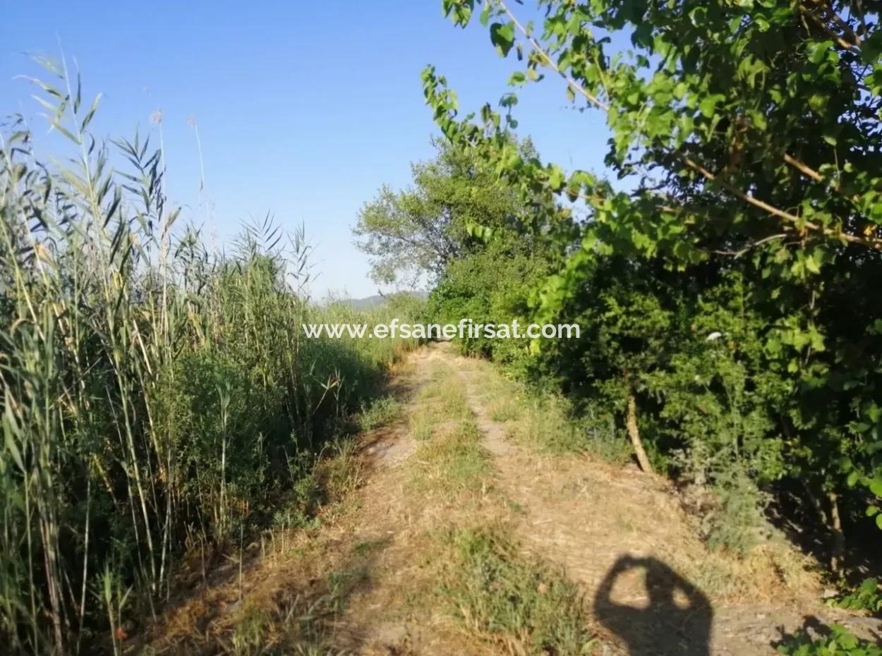 Garden For Sale In Oriya Tepearasi