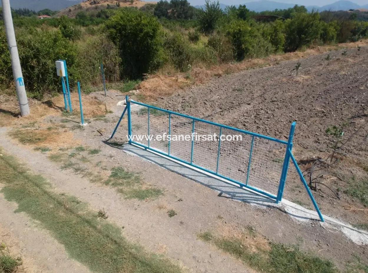 7300 M2 Lemon Field For Sale In Mugla Ortaca Tepearasi