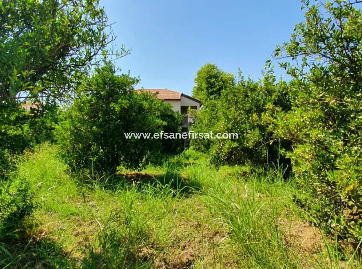 1063 M2 Zoning Land For Sale In Mugla Ortaca Dikmekavak Neighborhood