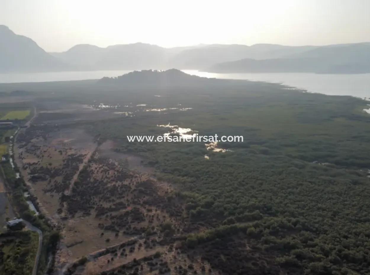 Pomegranate Garden For Sale In Mugla Ortaca Tepearasi