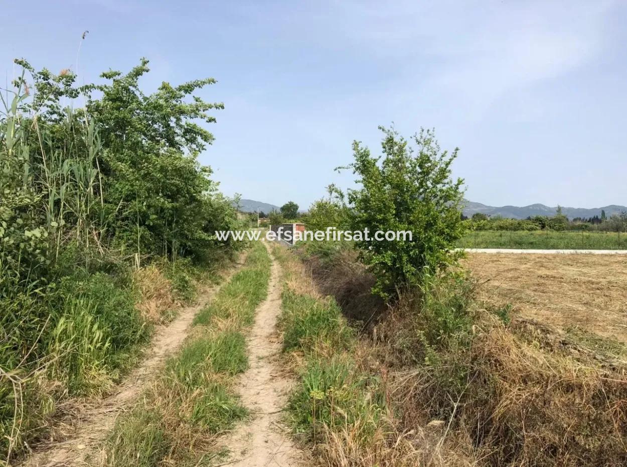 A Bargain Farm For Sale In Fevziye 2000 M2 And Oriya