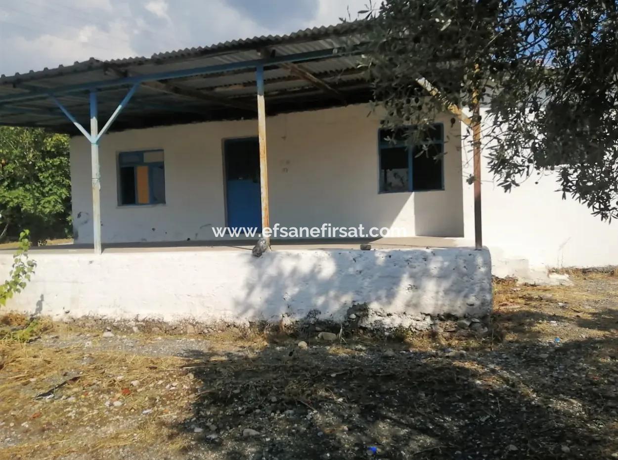 2 Detached Houses For Sale In 1992 M2 Plot Overlooking The Lake In Köyceğiz Zeytinalanı
