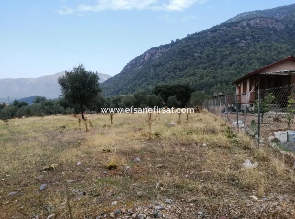 2788 M2 Field With Lake View For Sale In Mugla Köyceğiz Zeytinalanı