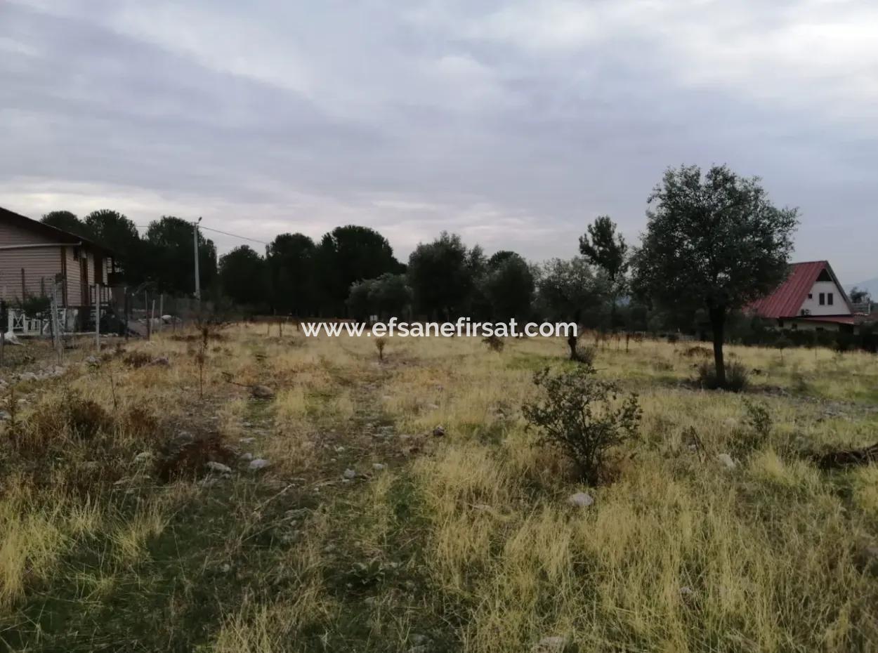 2788 M2 Field With Lake View For Sale In Mugla Köyceğiz Zeytinalanı