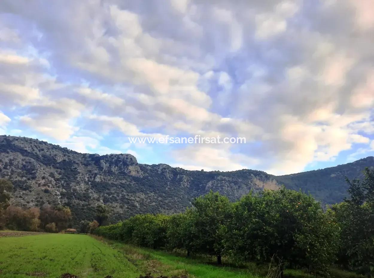 Mugla Dalyan 1100 M2 Land With Bargain Shares Suitable For Investment For Sale