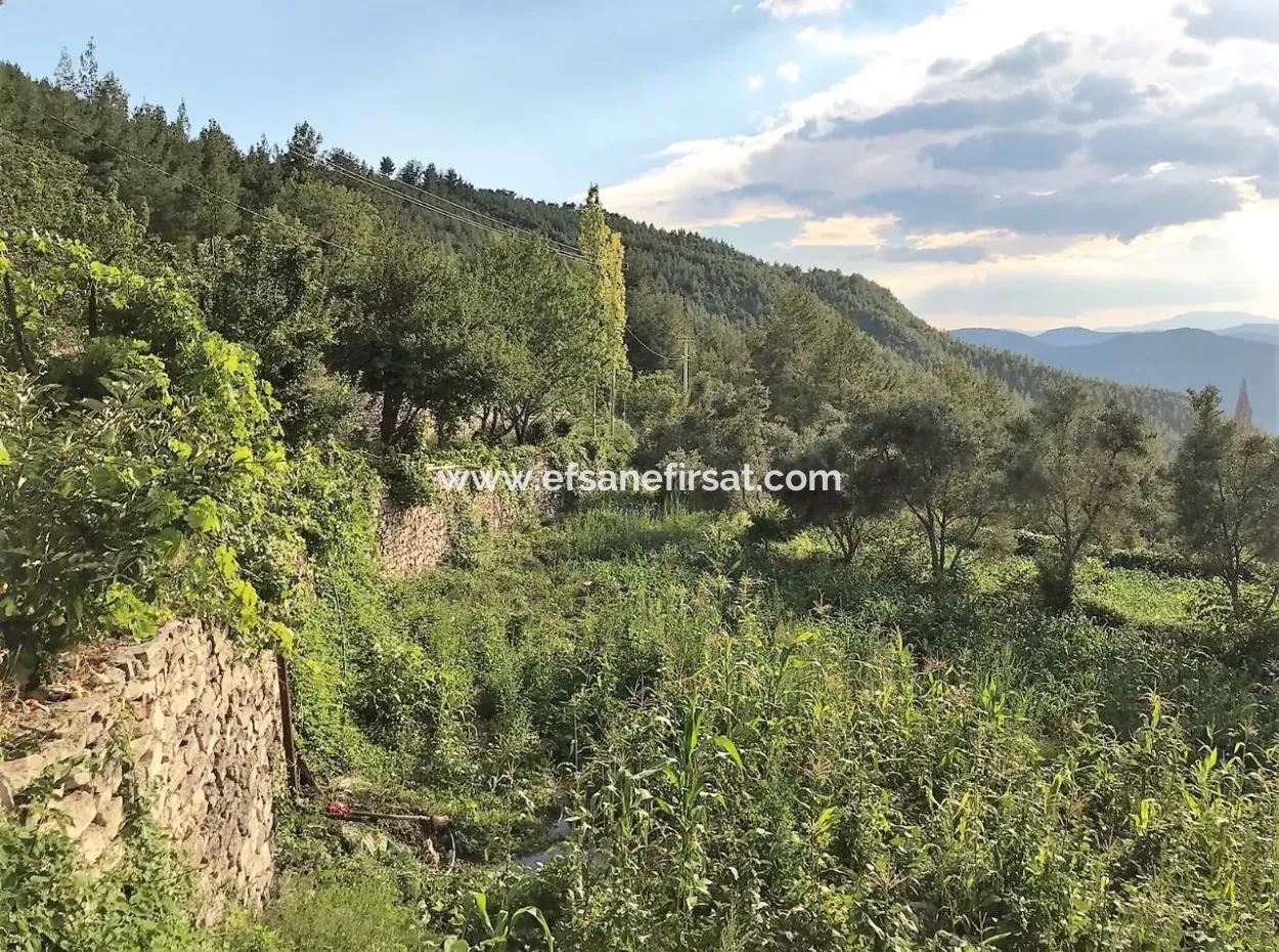 Land With 2 Houses In Denizli Çameli Ericek For Sale