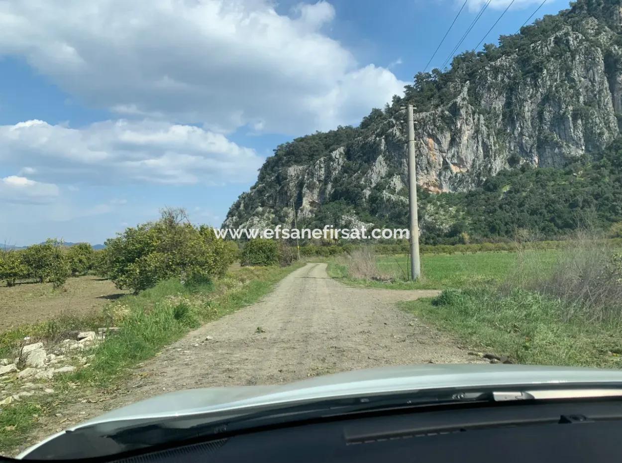 Mugla Dalyan Marmarlı 1500 M2 Land For Sale