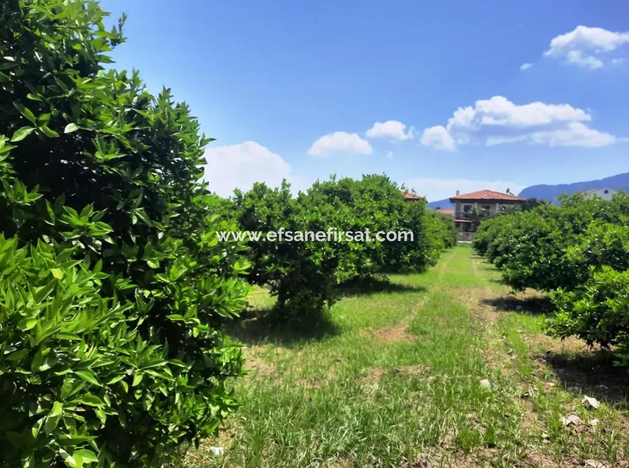 722 M2 Zoned Detached Land For Sale In Dalyan, Muğla
