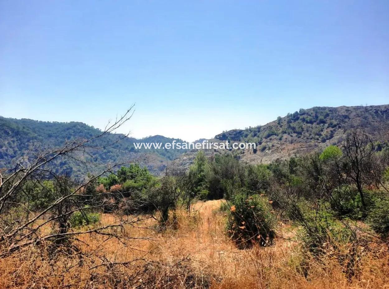Muğla Dalaman 42.432M2 Detached Land With Title Deed For Sale