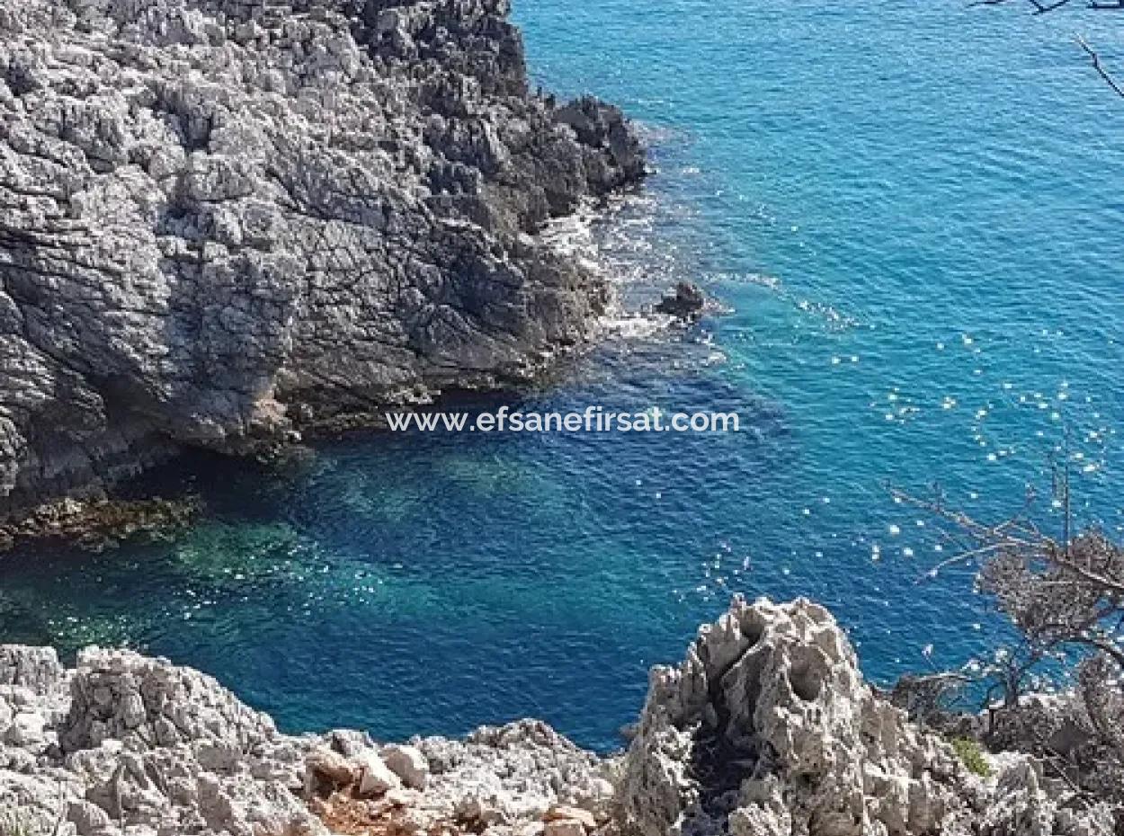 Dalyan, Gökbel De Seafront Detached 1 300 M2 Olive Grove For Sale