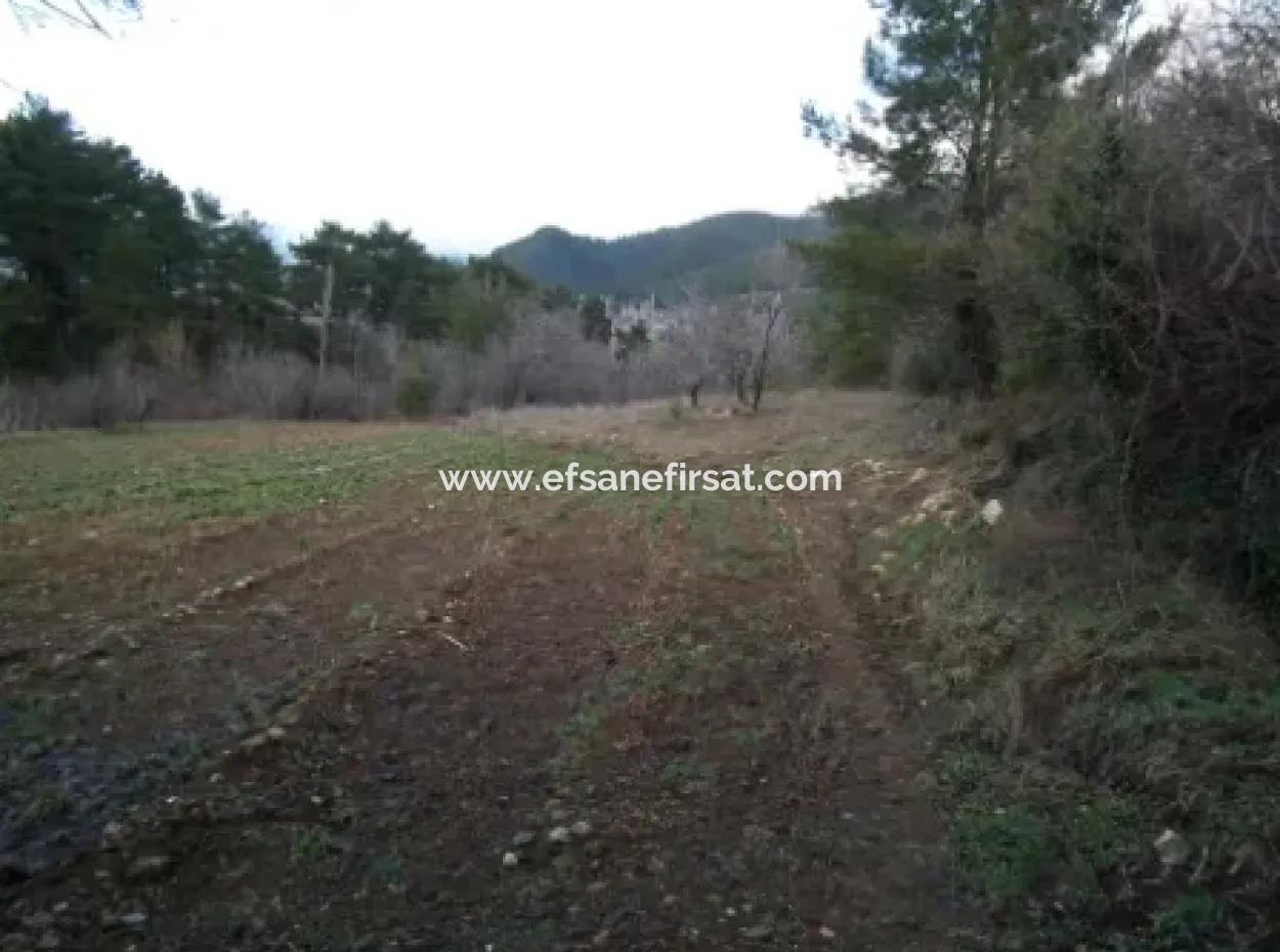 1985 M2 Land And Old Village House For Sale In Fethiye Nif