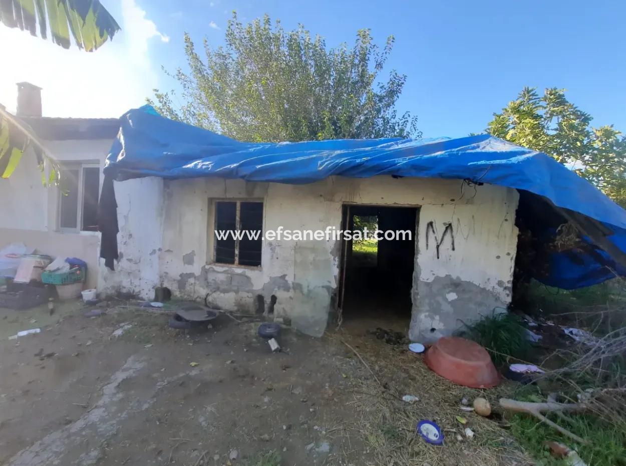 Ortaca Ekşiliyurt Suitable For Investment 11 850 M2 Lemon Garden And 4 Buildings For Sale