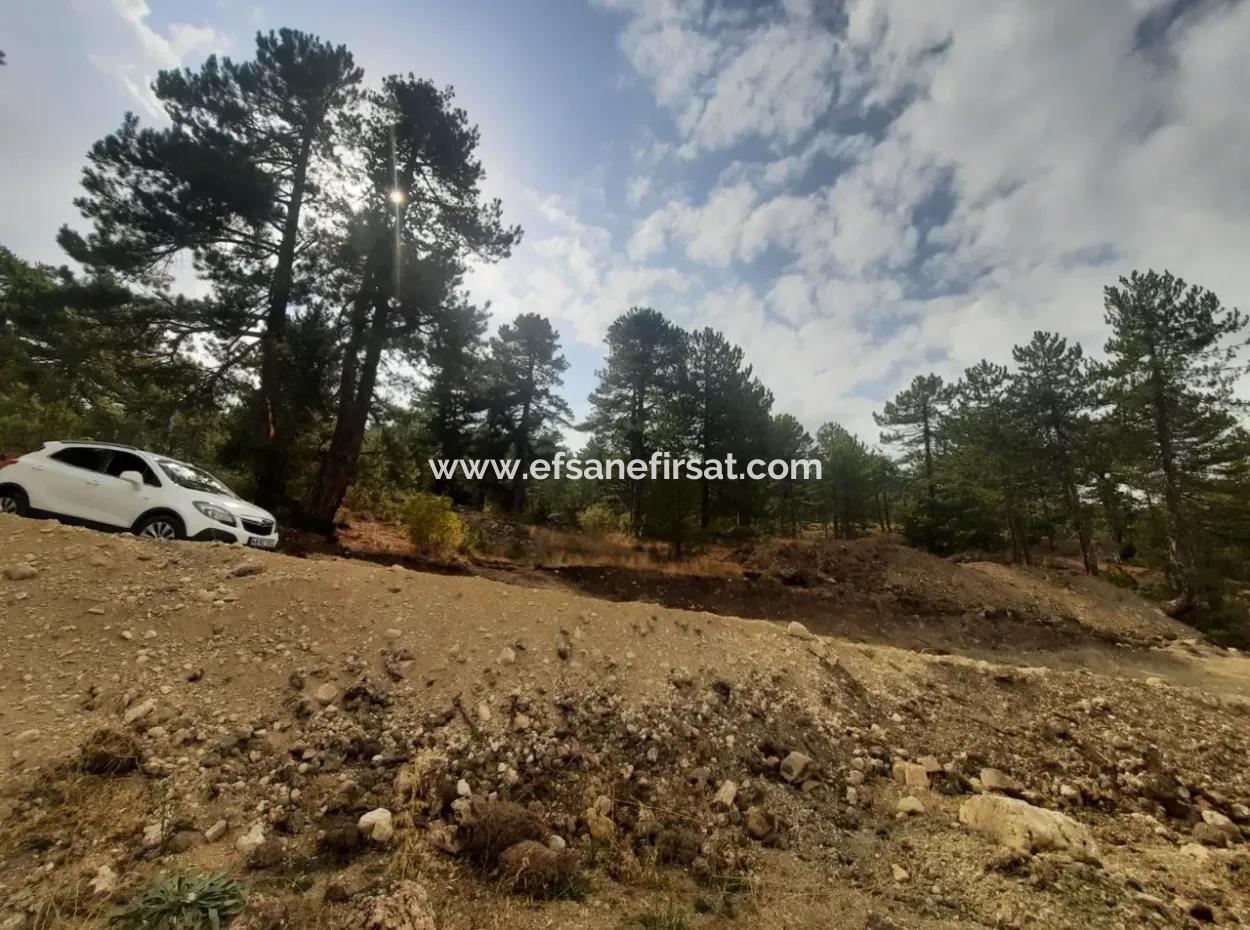 6 230 M2 Detached Land For Sale Or Exchange On The Old Acıpayam Road In Çameli Cumanda