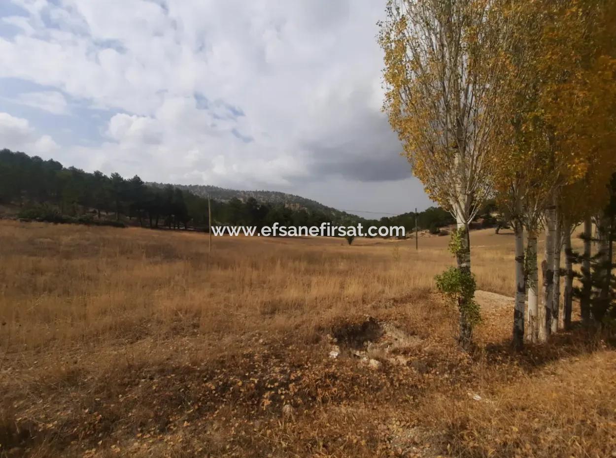 6 230 M2 Detached Land For Sale Or Exchange On The Old Acıpayam Road In Çameli Cumanda