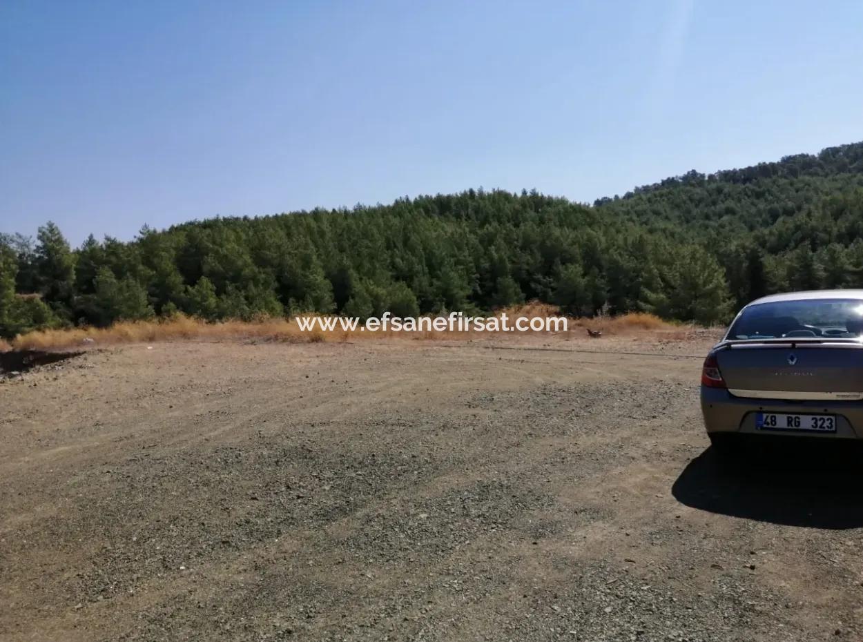 Kavakarasi Koycegiz, Plot For Sale