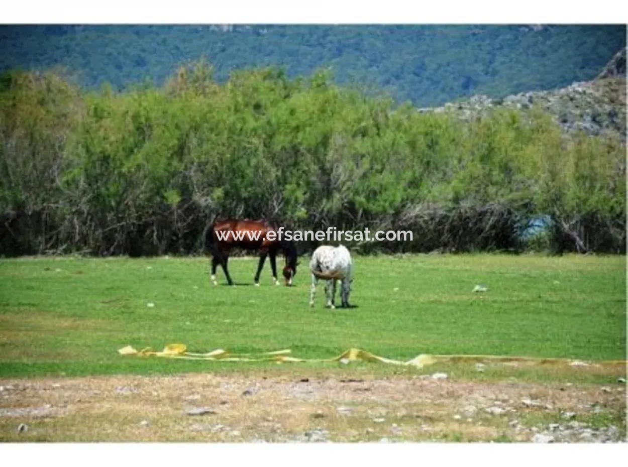 Detached Villa In Dalyan For Sale In Channel Zero