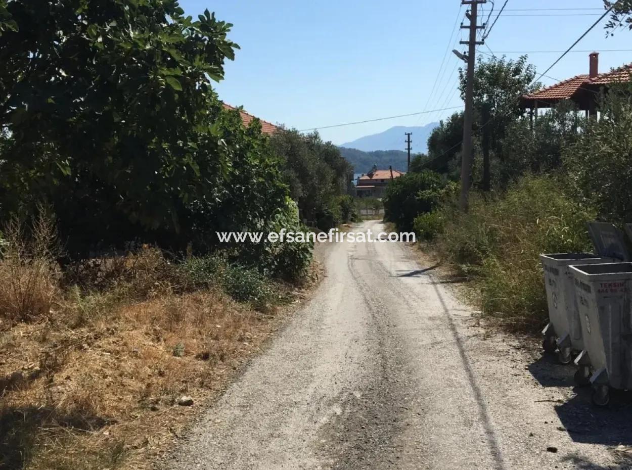 Lake View Land For Sale At Zeytinalani