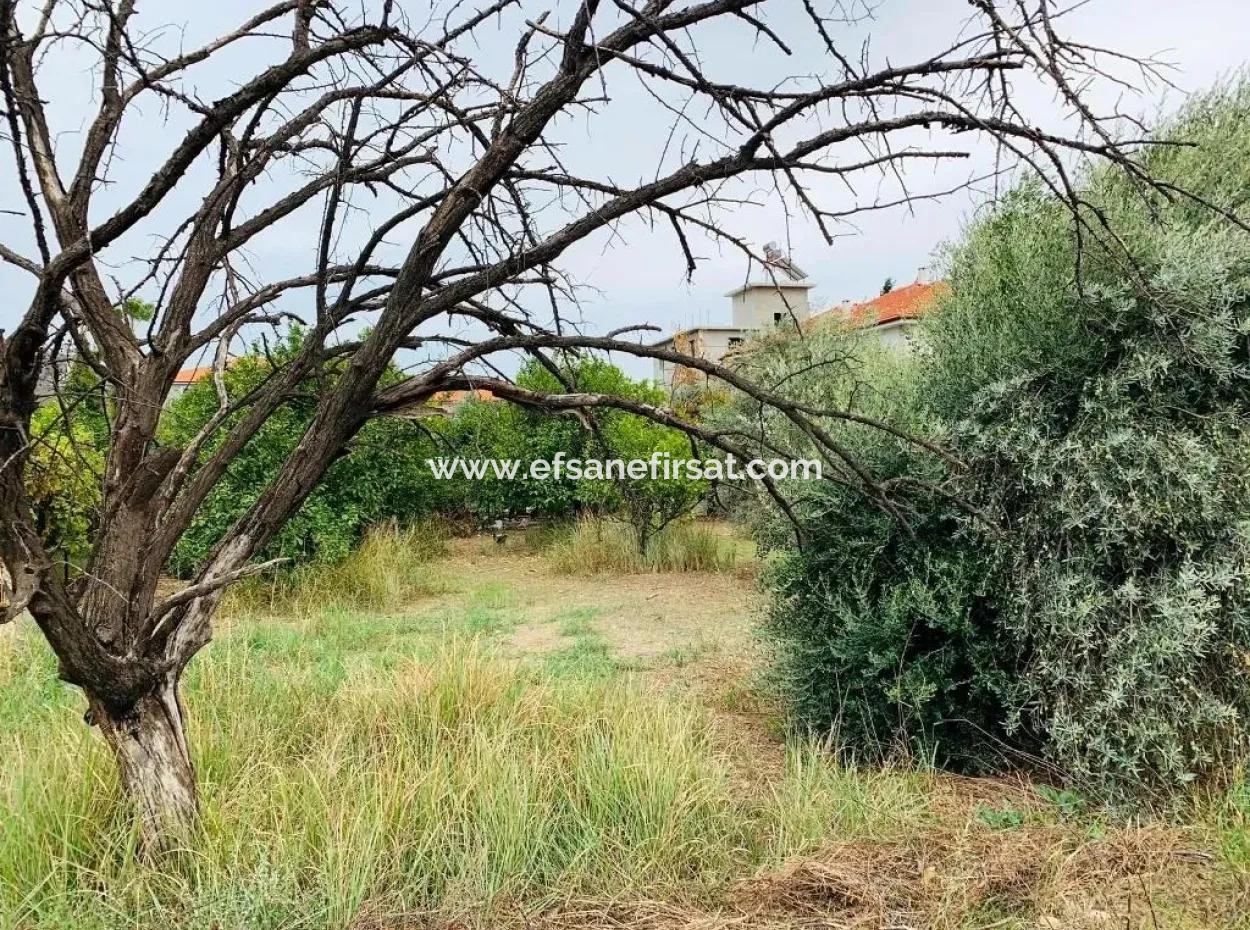 Residential Plot For Sale In The Center Of Oriya