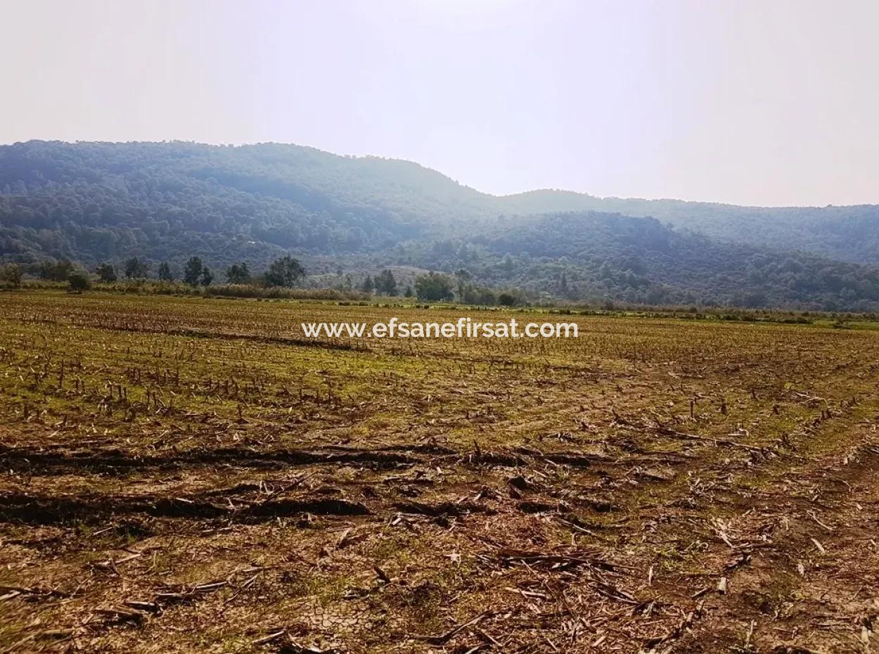 Region Of Fertile Land Rental