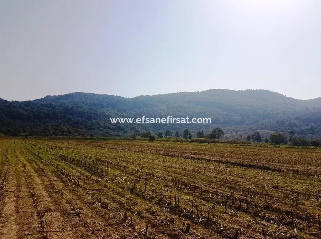 Region Of Fertile Land Rental