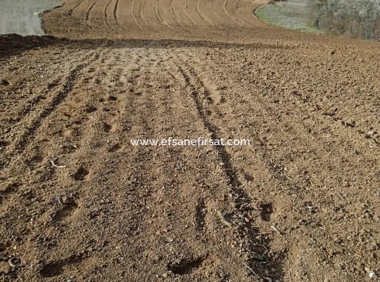 Detached, Fertile, 3 500 M2 Flat Land For Sale In Acıpayam Çakır