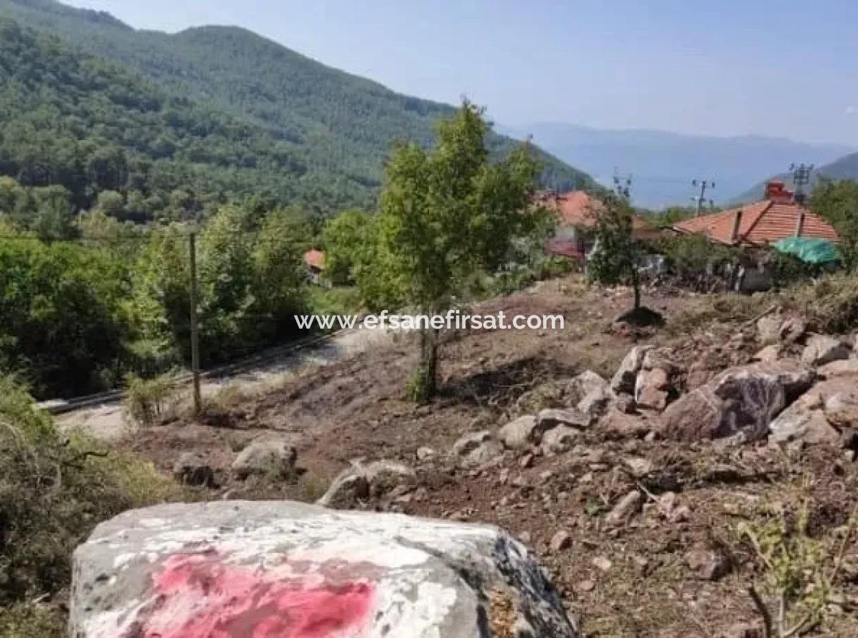 Muğla Köyceğiz Yayla Mah 570 M2 Land For Sale