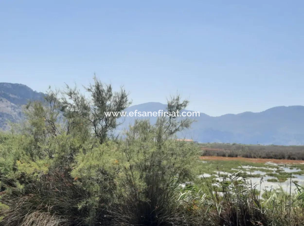 For Sale In Dalyan, Muğla, 17,500 M2 Detached Bargain Land Close To The Canal