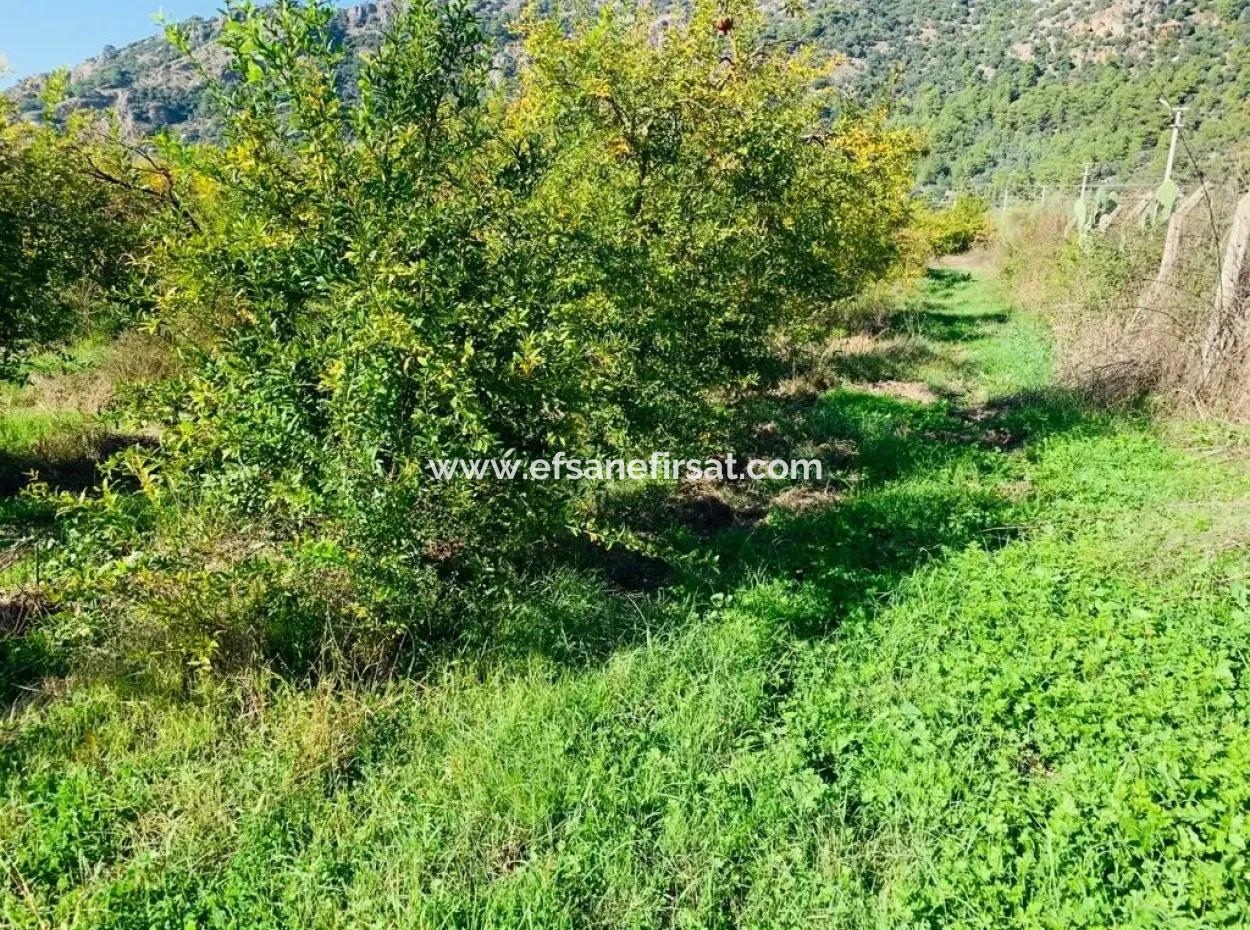 For Sale Land For Sale In Mergenli