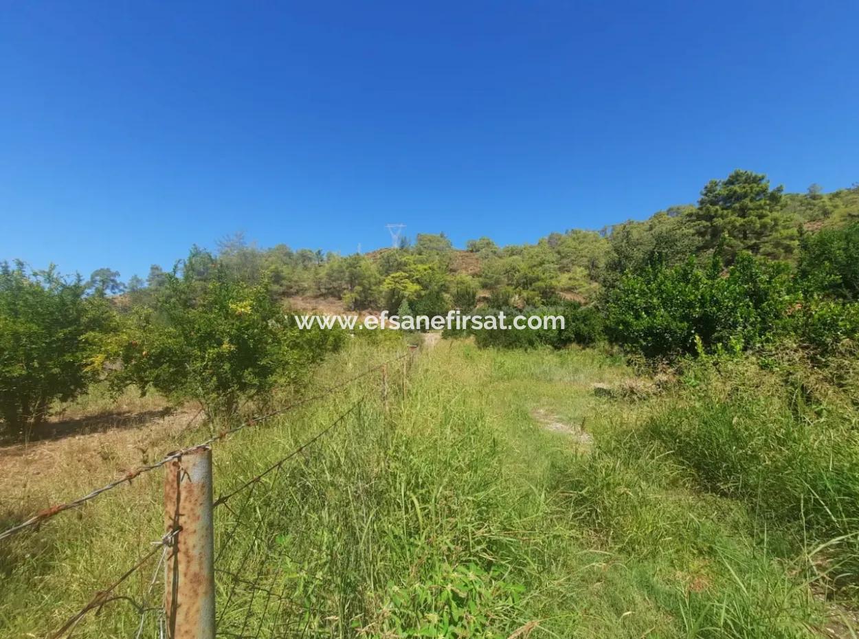 Muğla Ortaca Çaylıda 600 M2 Residential Zoned Bargain Land For Sale