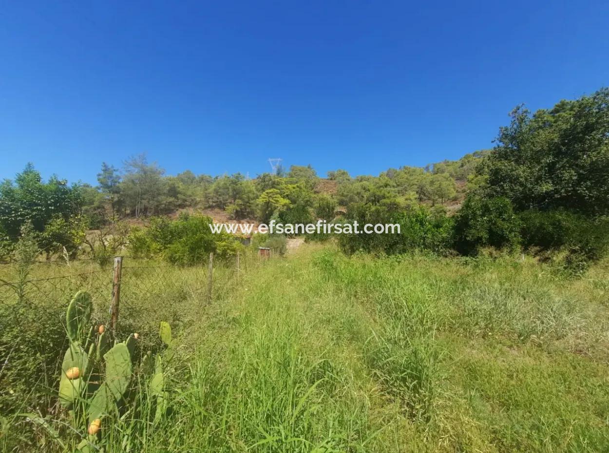Muğla Ortaca Çaylıda 600 M2 Residential Zoned Bargain Land For Sale