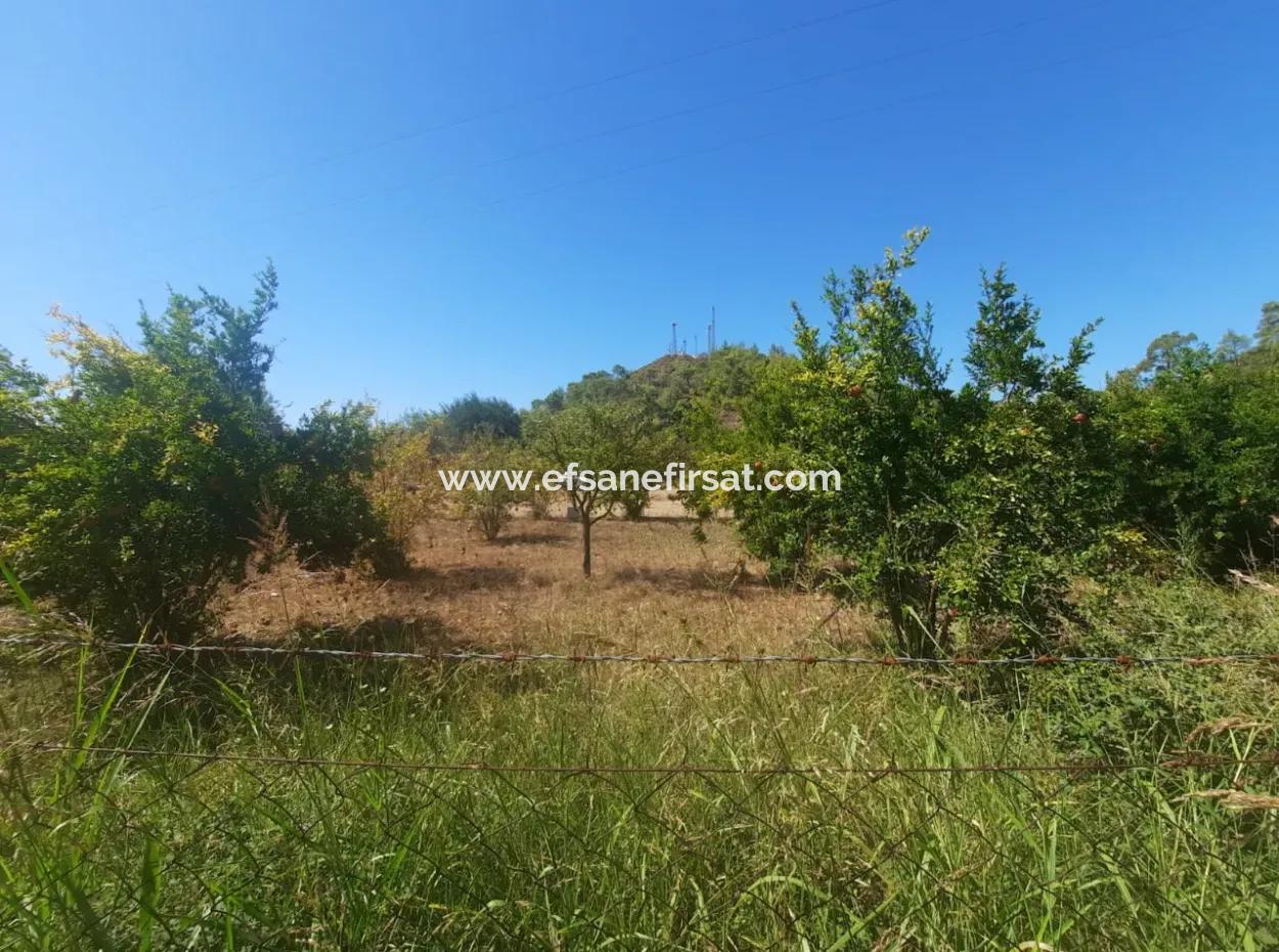 Muğla Ortaca Çaylıda 600 M2 Residential Zoned Bargain Land For Sale