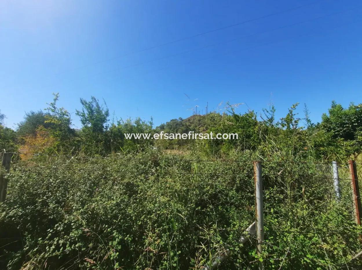 Muğla Ortaca Çaylıda 600 M2 Residential Zoned Bargain Land For Sale