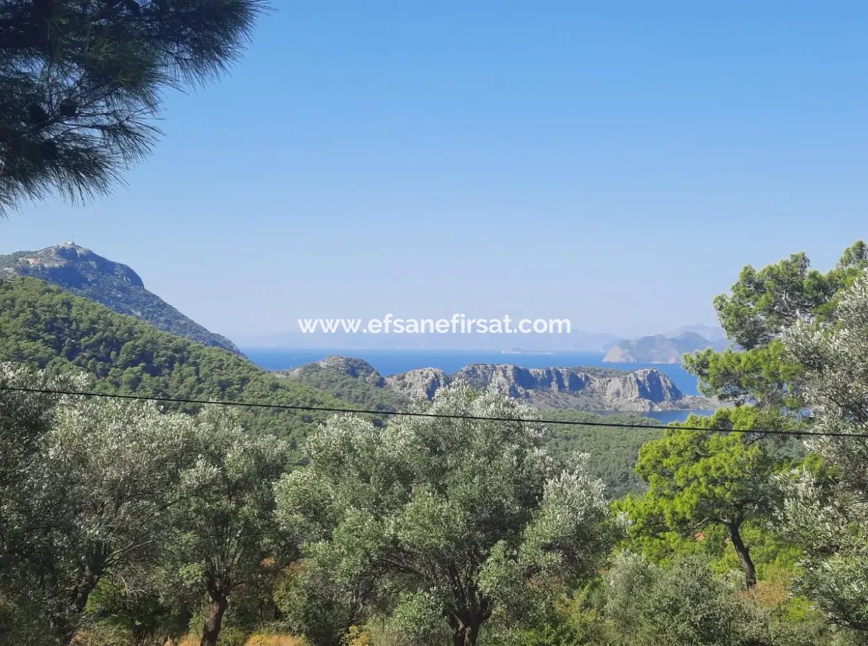 1.361 M² Investment Land With Lake And Sea View For Sale In Muğla Ortaca Gökbel