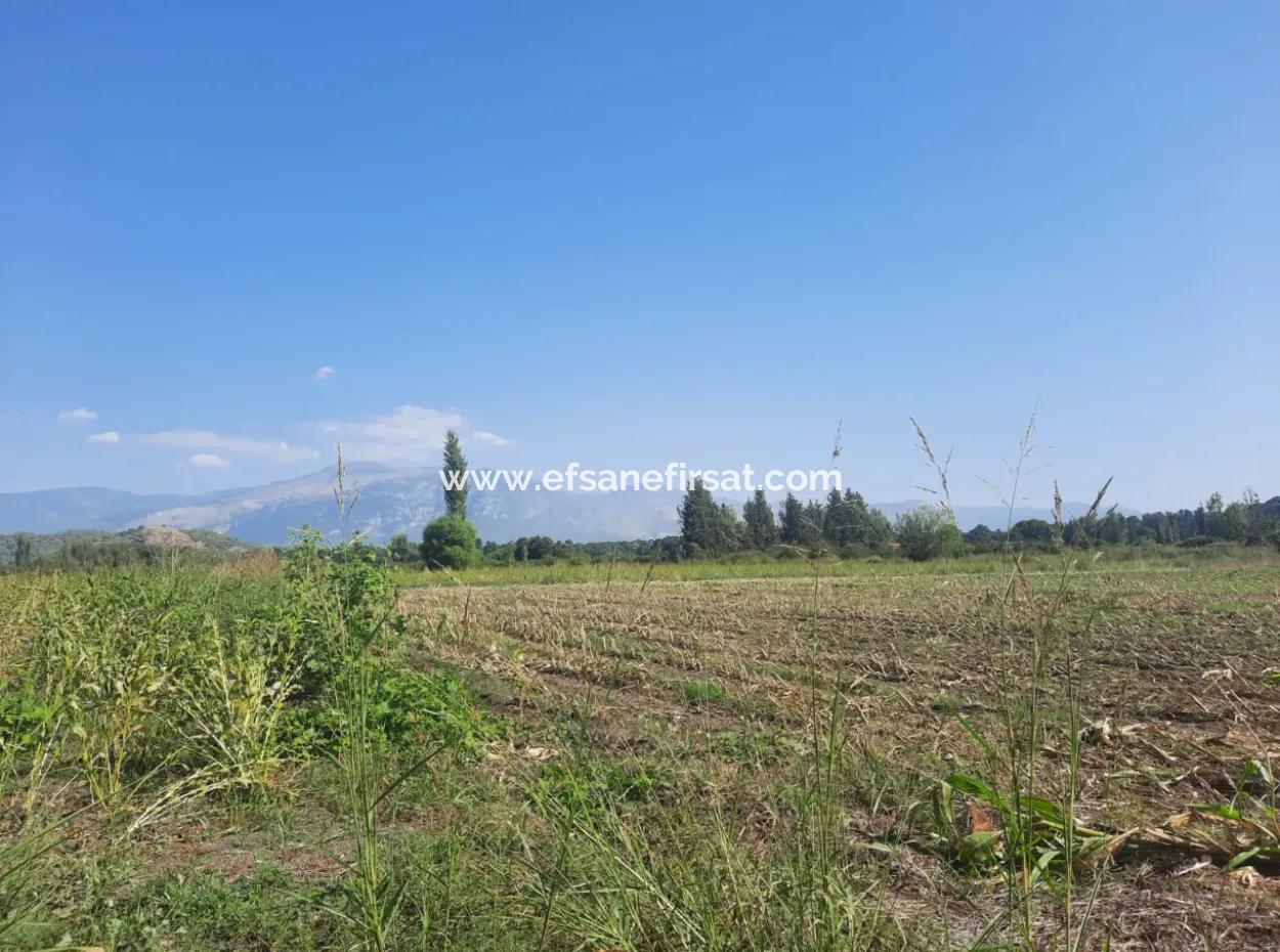 2 650 M2 Fertile Land For Sale In Köyceğiz Poplar