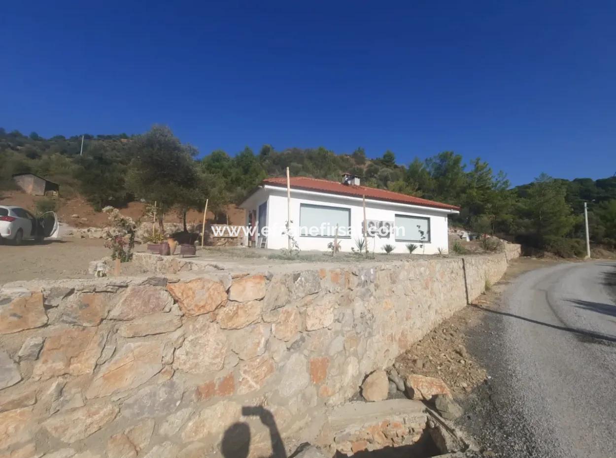 2 Units Of 1 1 Apartment For Sale On 1700 M2 Detached Land In Muğla Gökbel