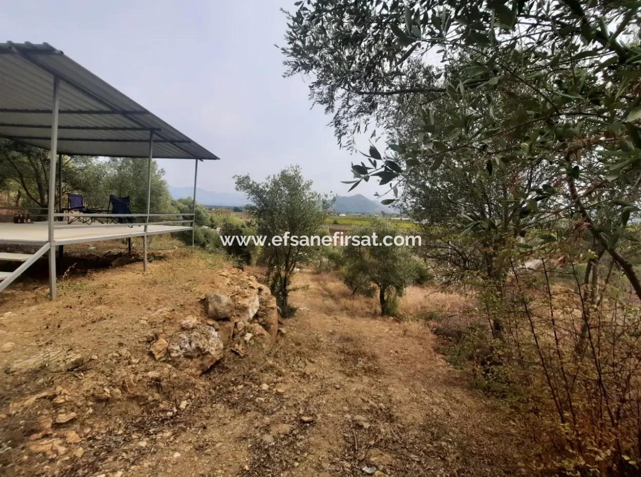 2 500 M2 Treasury Land In Eskiköy Possession Right Will Be Transferred Or Vehicle Exchanged