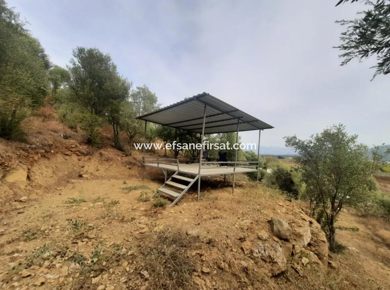 2 500 M2 Treasury Land In Eskiköy Possession Right Will Be Transferred Or Vehicle Exchanged