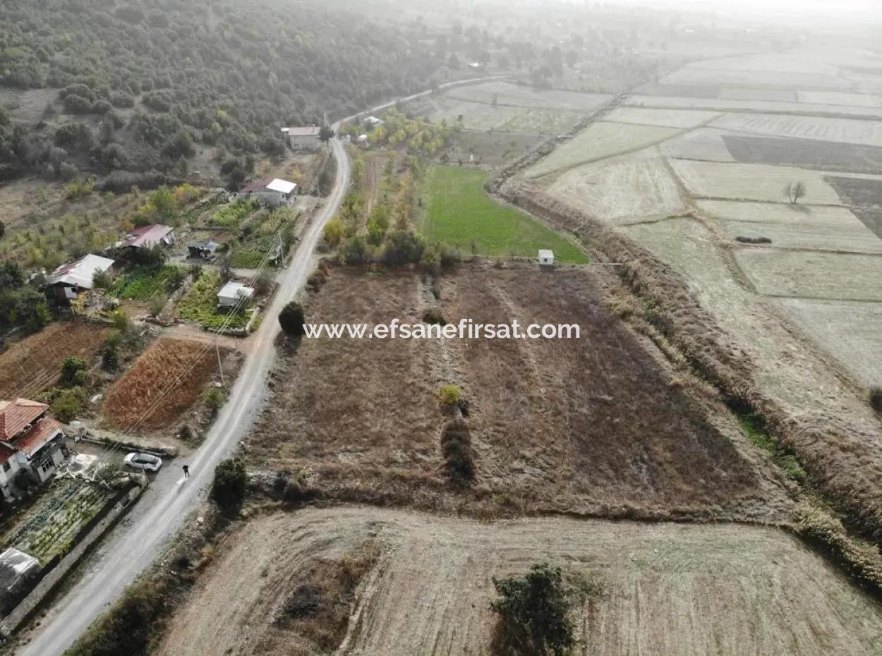 5 000 M2 Detached Title Deed Deposit Suitable For Sale In Çameli Belevide Bargain Field For Sale