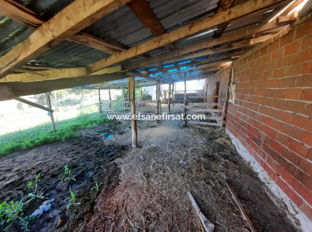 5 000 M2 Land In Çameli Kızılyaka 2 In 1 Detached House, And Barn For Rent