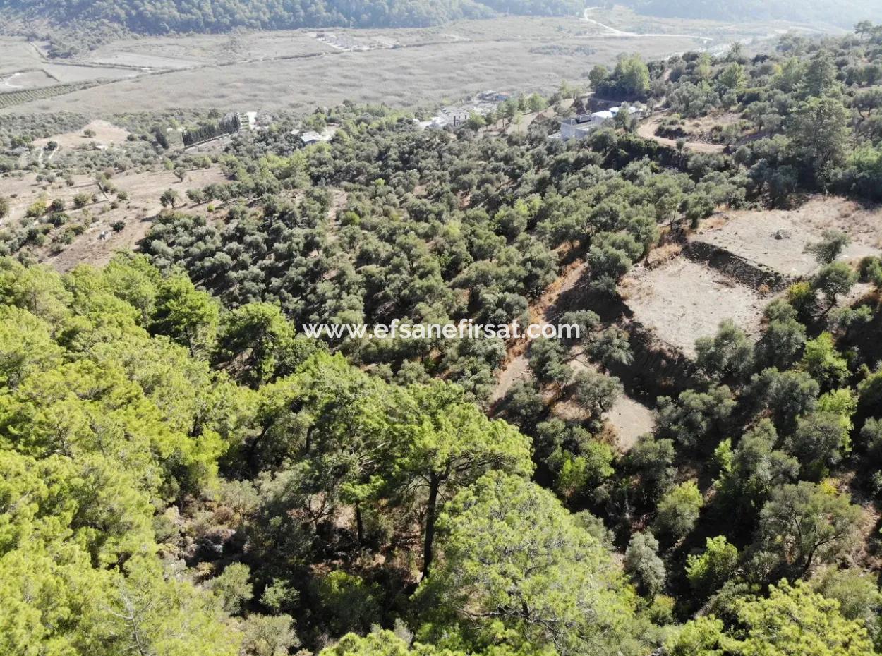 For Sale 403 M2 Plot Of Land In Sarigerme