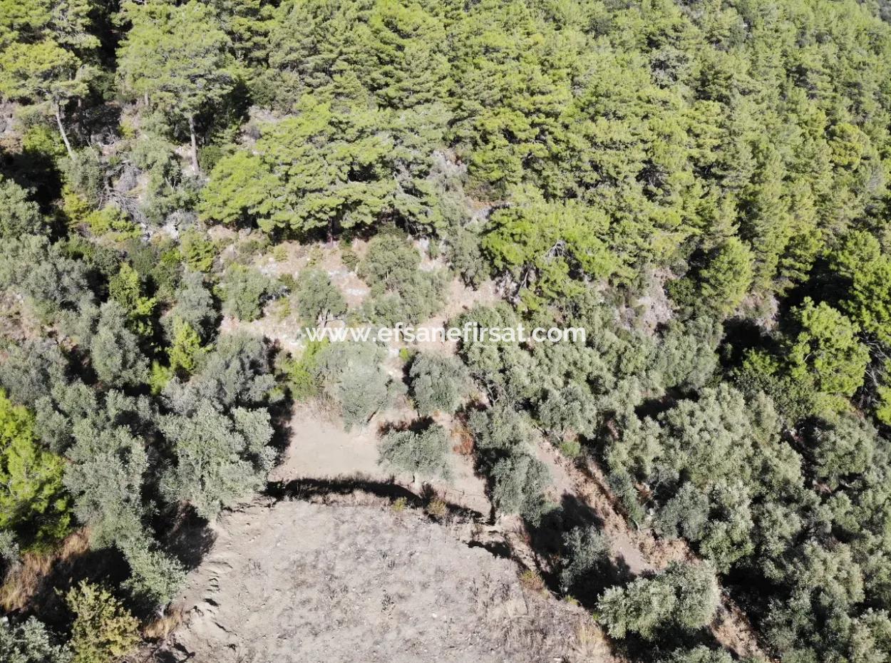 For Sale 403 M2 Plot Of Land In Sarigerme